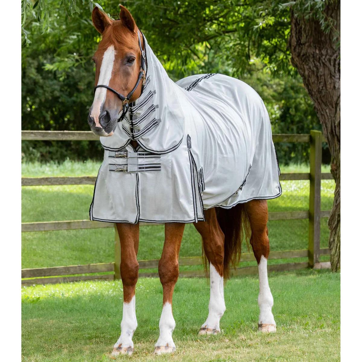 product/p/r/premier-equine_202073slv_silver_1.jpg