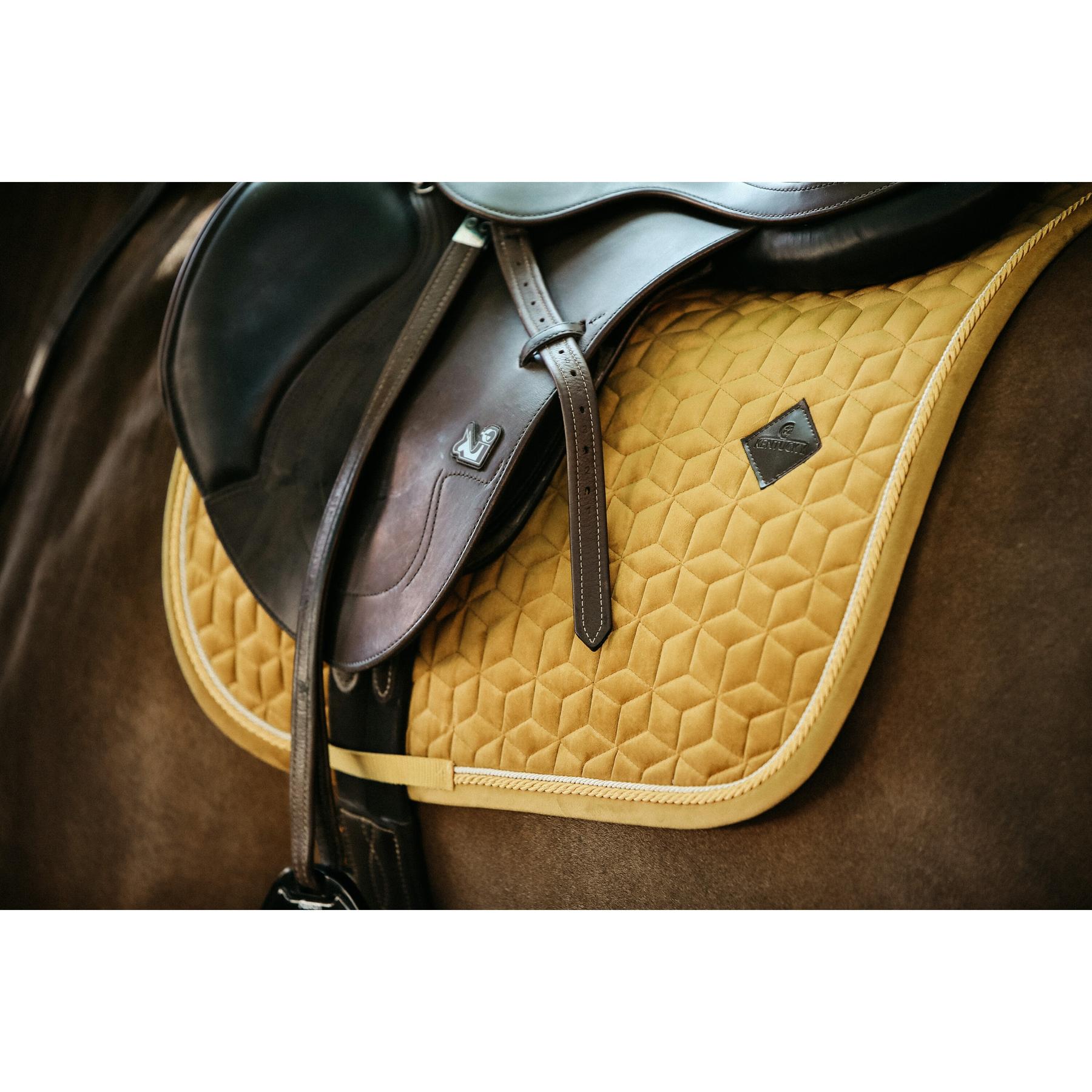 product/k/e/kentucky_42579-44_4.jpg