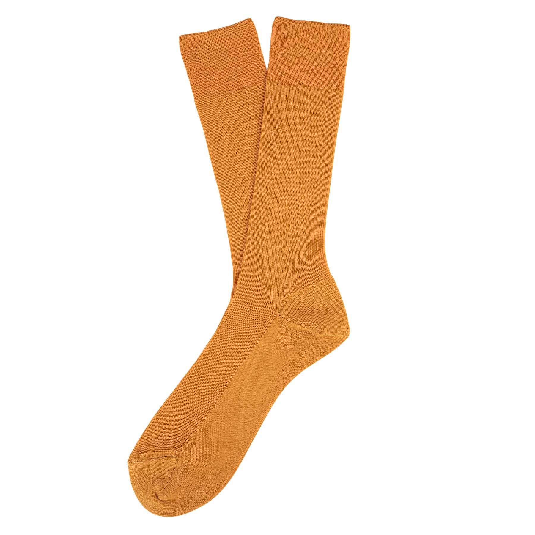 product/s/p/spasso_sp800-curcuma_curcuma_1.jpg