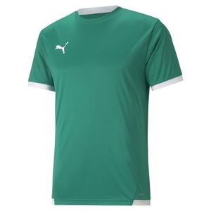704917-05-jersey-puma-team-liga-tannengrun-weiss