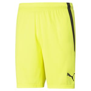 704924-42-shorts-puma-teamliga-gelb-schwarz
