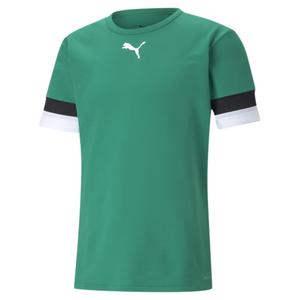 704932-05-jersey-puma-team-rise-tannengrun-schwarz-weiss
