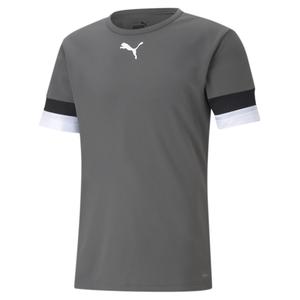 704932-13-jersey-puma-team-rise-grau-schwarz-weiss