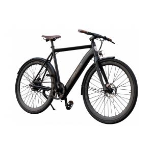 vae-a-mb-elektrofahrrad-mit-schutzblechen-alerion-matt-black