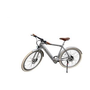 vae-a-sil-elektrofahrrad-mit-schutzblechen-alerion-silber