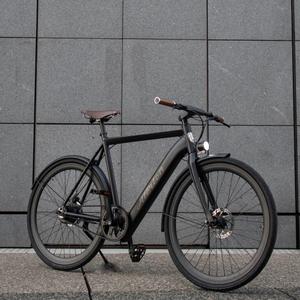 vae-a-mb-elektrofahrrad-ohne-schutzbleche-alerion-matt-black