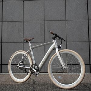 vae-a-sil-elektrofahrrad-ohne-schutzbleche-alerion-silber