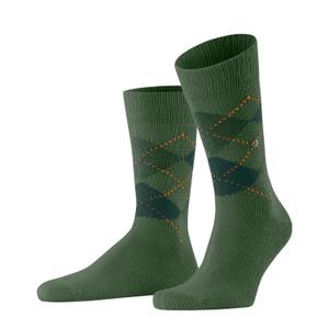 24284-7045-socken-burlington-preston-spargel