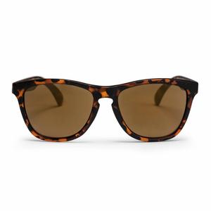 16131sd-sonnenbrille-chpo-brand-bodhi-medium-large-turtle-brown-braun-tu