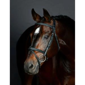 1025191001-pferdezaum-hanoversche-gepolstert-collegiate-comfitec-opulux-fancy-stitch-schwarz