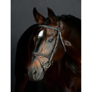 1025191005-pferdezaum-hanoversche-gepolstert-collegiate-comfitec-opulux-fancy-stitch-dunkelbraun