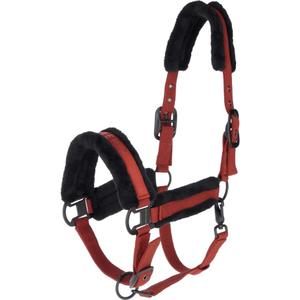 3231082-halfter-fur-pferd-covalliero-rost