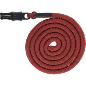 3231091-longe-reiten-covalliero-rost-tu