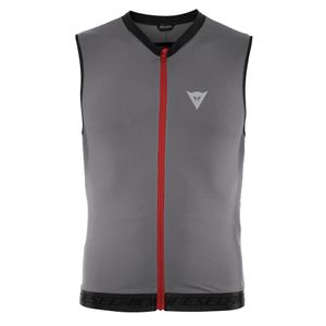 2048700003-93i-ruckenprotektor-weste-dainese-flexagon-2-silver-filigree-castle-rock
