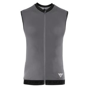 2048700005-49l-ruckenprotektor-fur-frauen-dainese-flexagon-2-silver-filigree-stretch-limo
