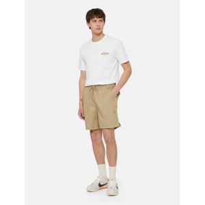dk0a4xb2ds01-bermuda-dickies-pelican-rapids-wustensand