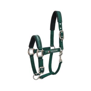 ec018pe00123-008-halfter-fur-pferde-equiline-timmy-grun