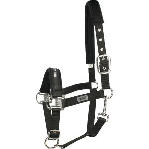 410000-816-290-halfter-fur-pferd-eskadron-pin-buckle-schwarz