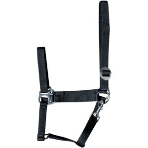 31000925-zwart-halfter-harry-s-horse-economy-zwart