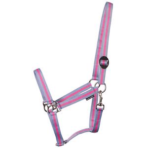 31000925-lichtblauw-roze-lichtblauw-halfter-fur-pferd-harry-s-horse-economy-lichtblauw-roze-lichtblauw