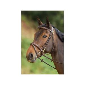 hfi003br-trensen-reiten-hfi-functional-braun