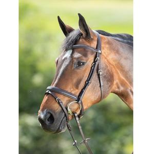 hfi015br-zaumzeug-reiten-hfi-soft-braun