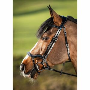 hfi016bk-trensen-reiten-hfi-techno-schwarz