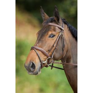 hfi1159br-zaumzeug-reiten-hfi-comfort-braun
