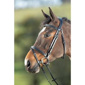 hfi003bk-trensen-reiten-hfi-functional-schwarz