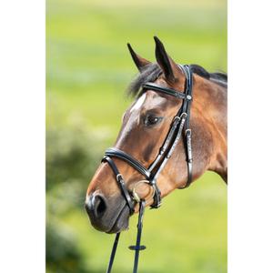 hfi013bk-zaumzeug-reiten-hfi-technical-schwarz