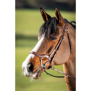 hfi016br-trensen-reiten-hfi-techno-braun