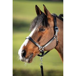 hfi1631bkco-lederhalfter-fur-pferde-hfi-two-tone-black-cognac