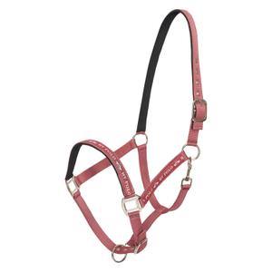 1601093600-3164-nylon-halfter-fur-pferde-hv-polo-nena-erroten