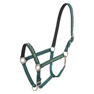1601093600-6130-halfter-fur-pferd-hv-polo-nena-duck-green