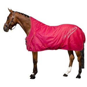 de50314001-3000-outdoor-decke-fur-pferde-imperial-riding-super-dry-0-g-rot