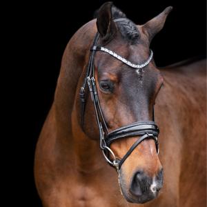 ho40323005-9545-zaumzeug-reiten-imperial-riding-olympia-schwarz-silber
