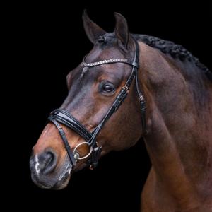 ho40323005-9584-zaumzeug-reiten-imperial-riding-olympia-black-rose-gold