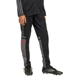 jd1628-trainingshose-kind-adidas-squadra25-black-tegrfo-purrub