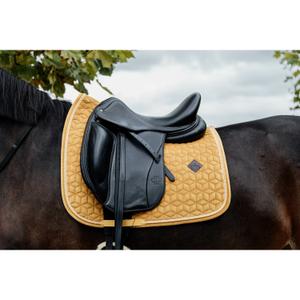 product/k/e/kentucky_42579-44_2.jpg