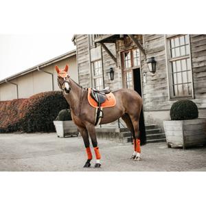 product/k/e/kentucky_42579-45-p_0.jpg
