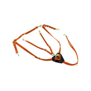 lk3036-orange-halsung-fur-pferde-aus-biothan-mit-martingal-lakota-orange-tu