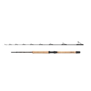 1620451-angelrute-penn-regiment-iv-pro-30-50lb-x2-silber-2-10-m