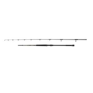 1620472-spinnrute-penn-regiment-iv-pilk-70-300g-silber-2-5-m
