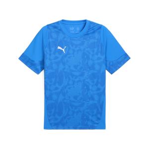 659167-02-trikot-puma-teamcup-blau