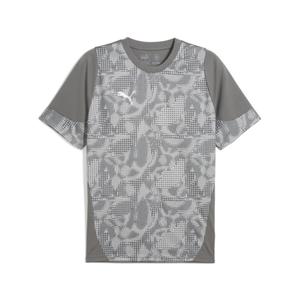 659167-13-trikot-puma-teamcup-grau