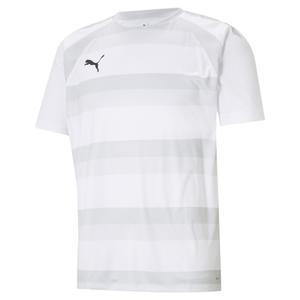704921-04-trikot-puma-team-vision-weiss-perlgrau-schwarz