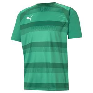 704921-05-trikot-puma-team-vision-tannengrun-flaschengrun-weiss