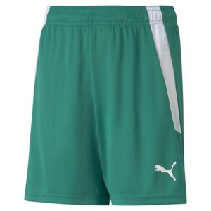 704931-05-kindershorts-puma-team-liga-tannengrun-weiss