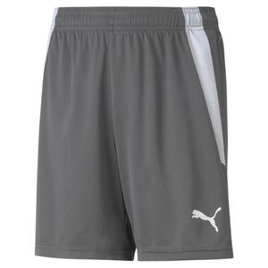 704931-13-shorts-fur-kinder-puma-team-liga-grau-weiss