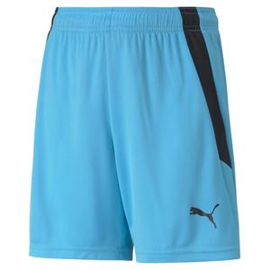 704931-40-shorts-fur-kinder-puma-team-liga-blau-schwarz